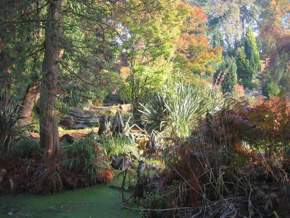 Fletcher Moss, Alpine Garden - Didsbury