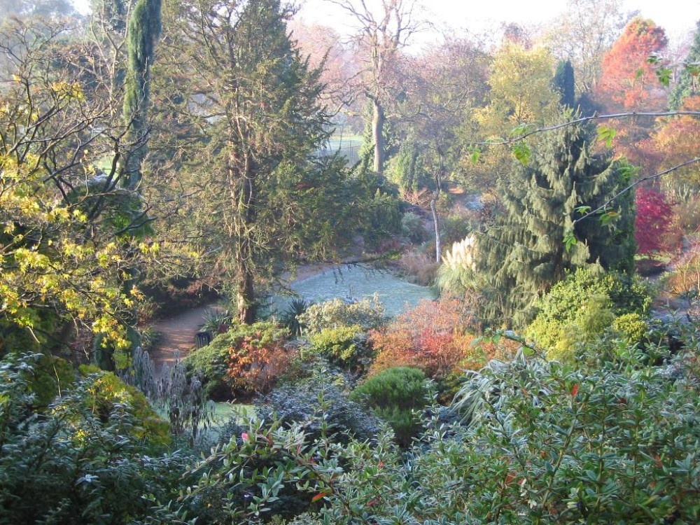 Photograph of Fletcher Moss, Alpine Garden - Didsbury
