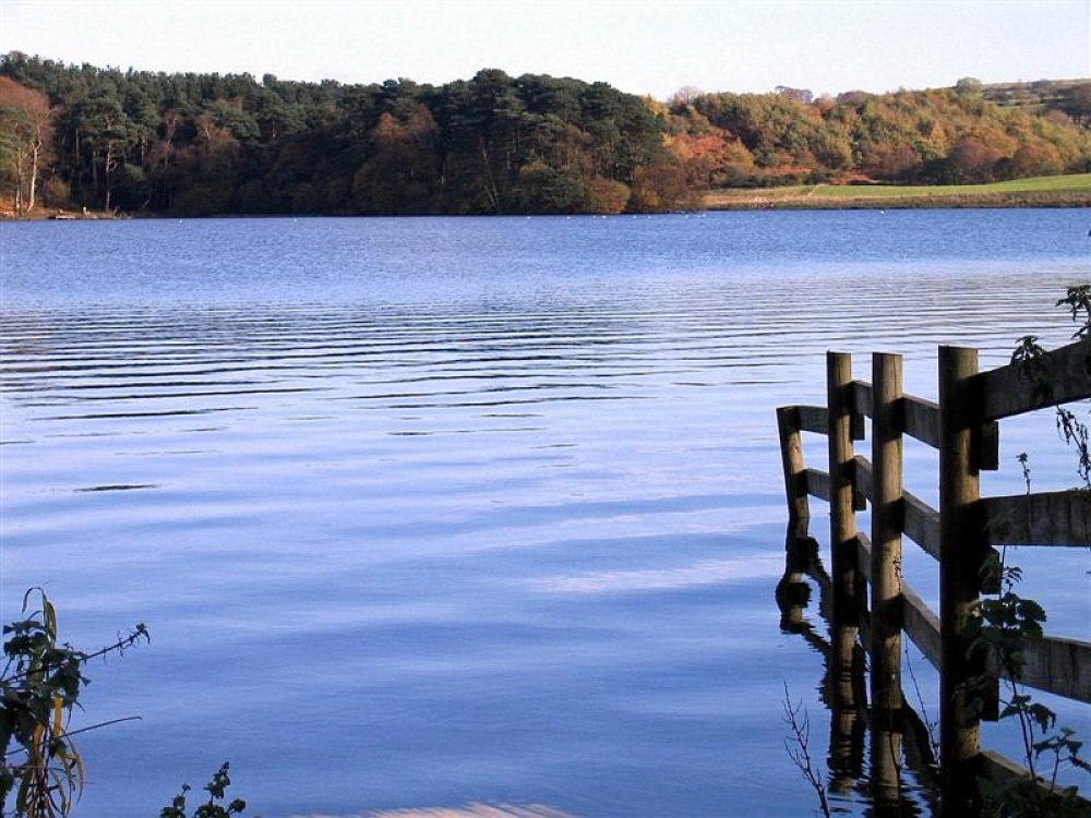 A picture of Talkin Tarn Country Park photo by Sheila Bell