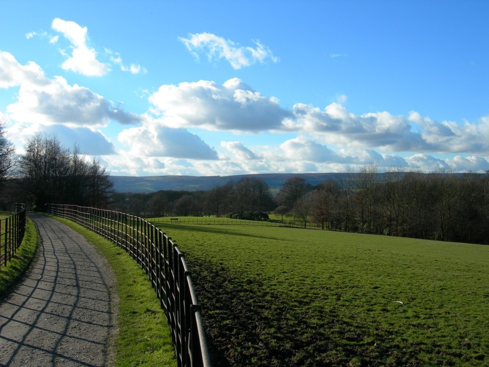 'Graves Park 'in Sheffield