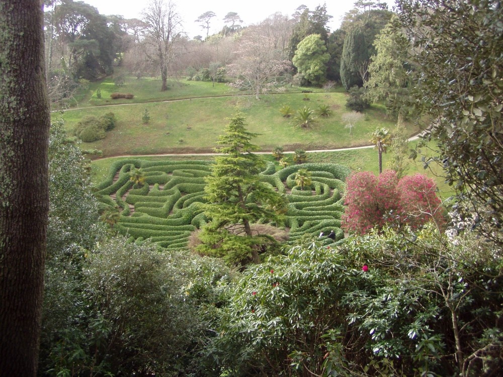 Glendurgan Gardens, the maze