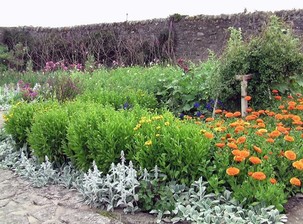 A picture of Lindisfarne