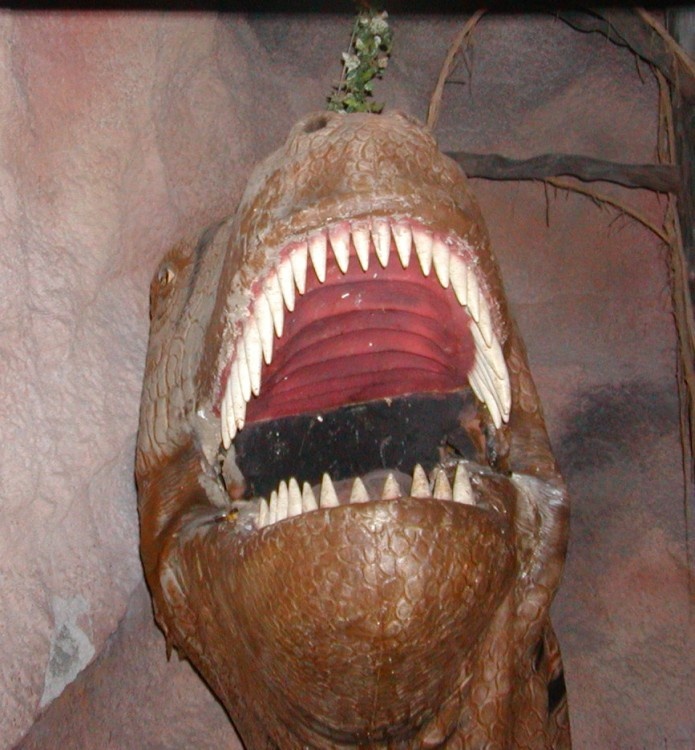 Frightening scene at the Blackpool Pleasure Beach!