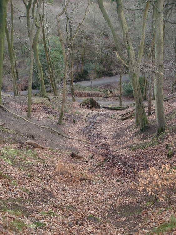 Looking down across the valley of Sunnyhurst Woods, Darwen, Lancashire.