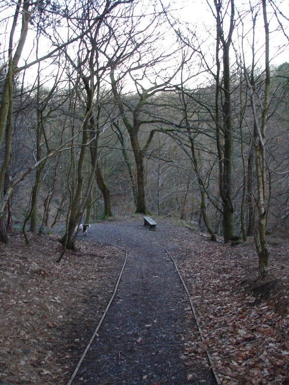 One of the many viewing points in Sunnyhurst Woods, Darwen, Lancashire.