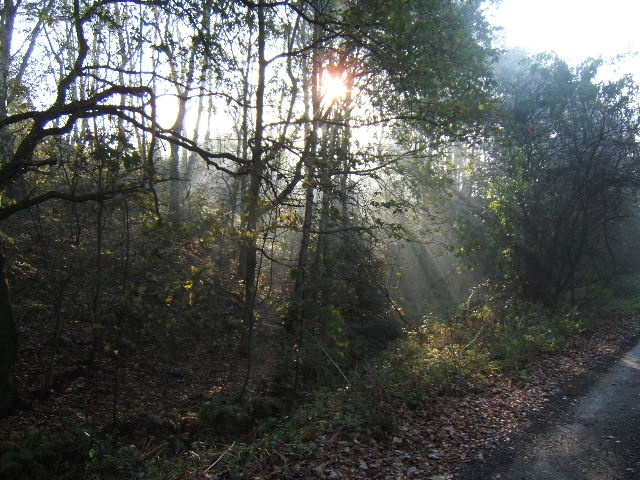 Cheshire sunbeams, near Winsford, Cheshire.