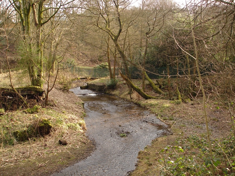 A picture of Sunnyhurst Woods, Darwen, Lancashire.