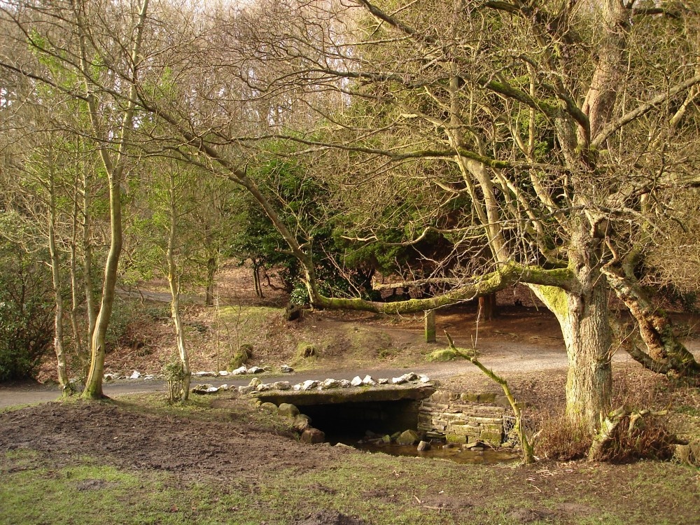 A picture of Sunnyhurst Woods, Darwen, Lancashire.
