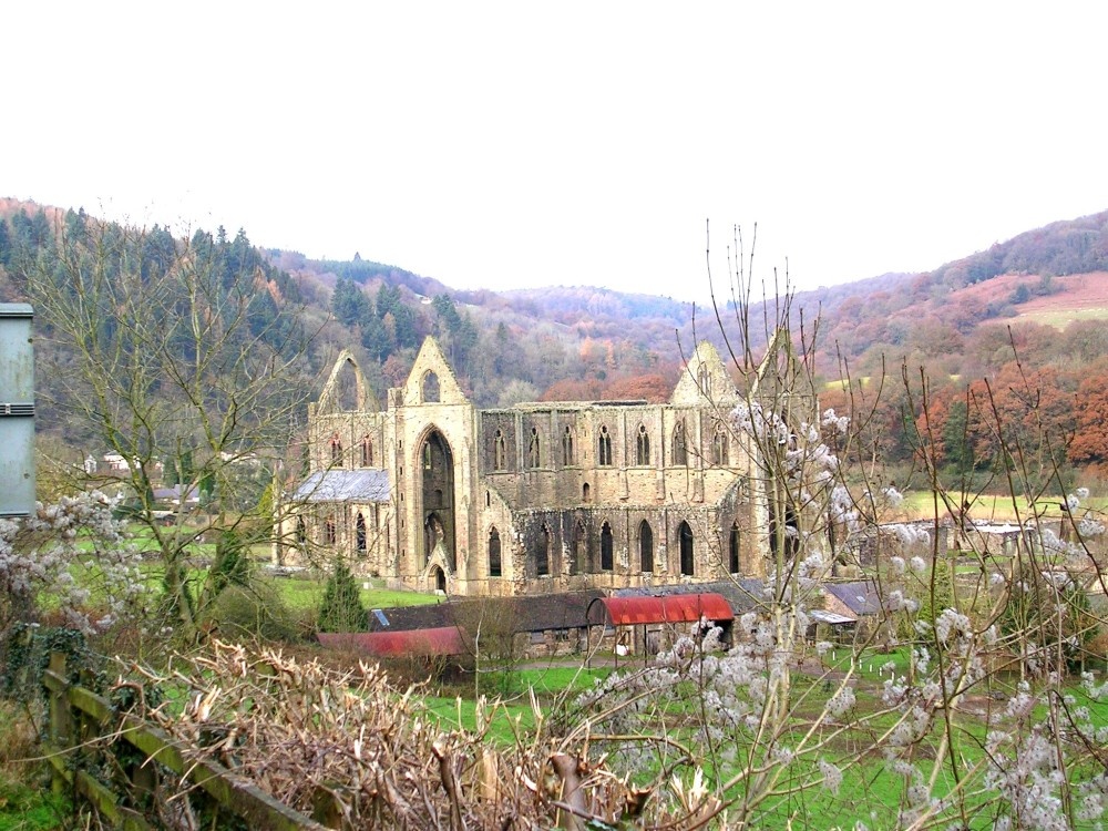 Tintern Abbey. October 2005