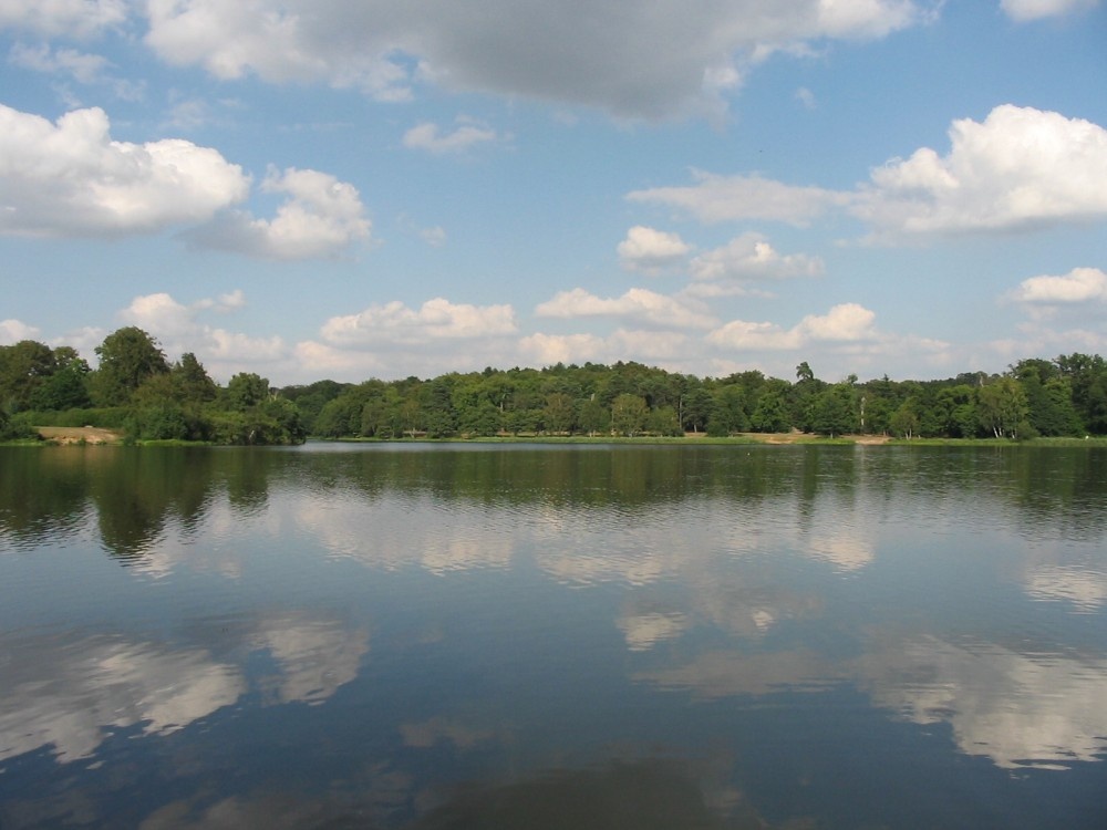 Photograph of Virginia Water Lake, Virginia Water, Surrey, August 2004