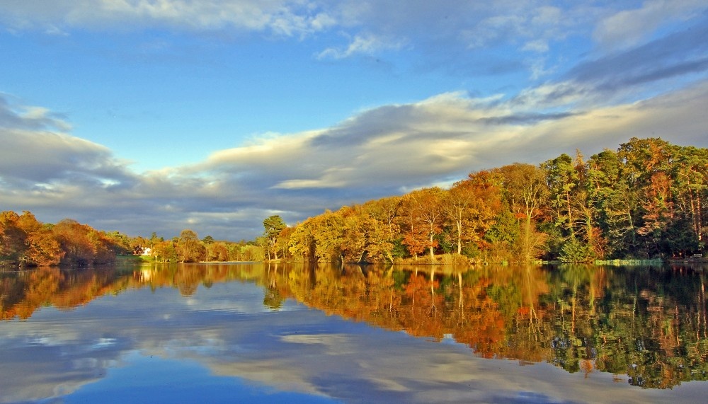 Photograph of Lake near Combrook, Warwickshire.