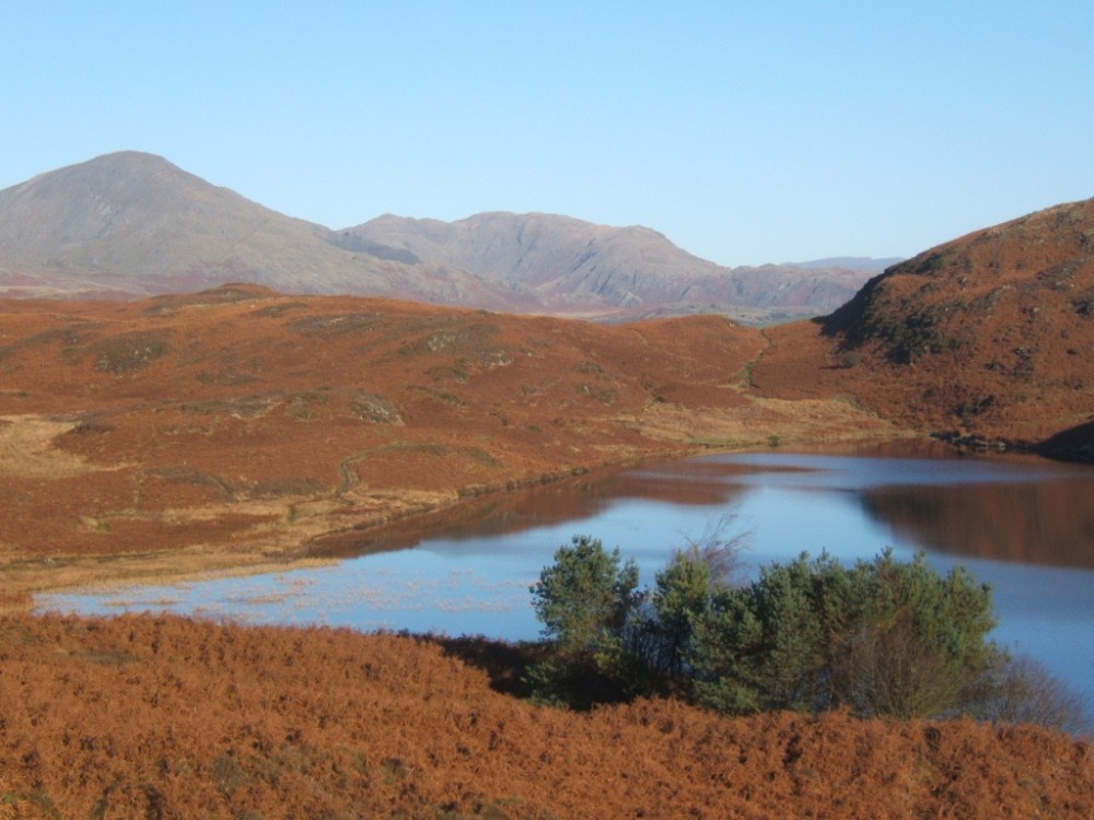 Photograph of Beacon Tarn set in the Blawith Fells, Cumbria.  Looking towards Coniston-Old-Man.