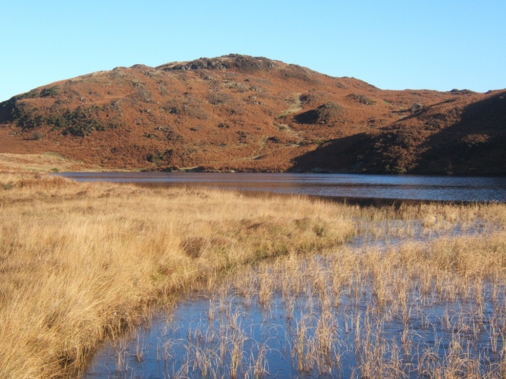 Photograph of Beacon Tarn set in the Blawith Fells, Cumbria.