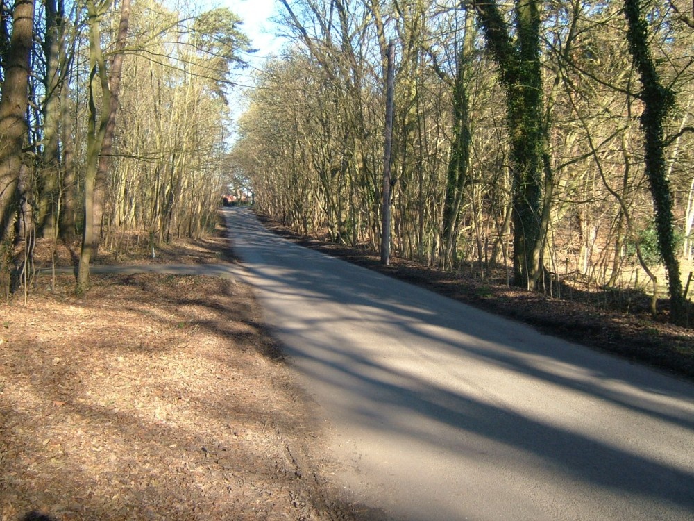 Photograph of The Winterbourne Road looking back at the Curridge Road