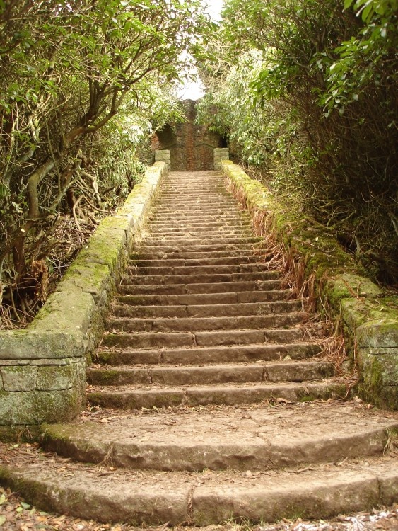 Another grand stone staircase at Rivington Pike, Rivington, Lancashire. 03/03/06