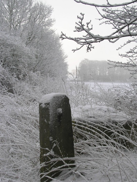 Snow - Eccleston,  St Helens - 4 March 2006