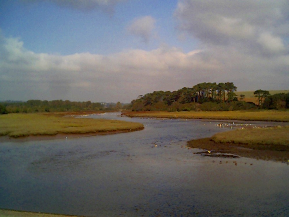 The river at Budleigh Salterton just behind the beach, is an RSPB reserve