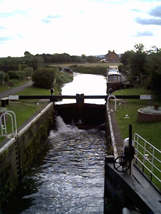 Bridgwater to Taunton canal. Bridgwater, Somerset
