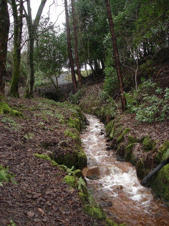 A Picture of Bold Venture,(Top), Park, Darwen, Lancashire.