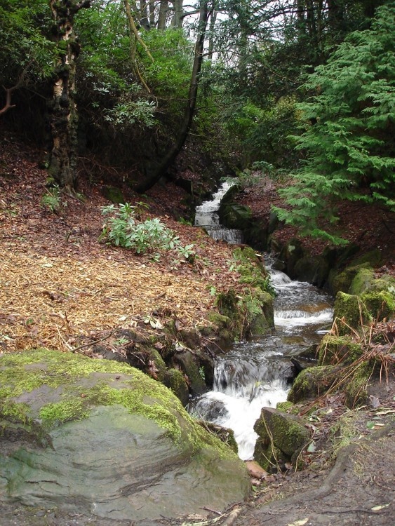 A picture of Bold Venture Park