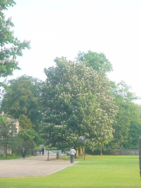 Salisbury, Wiltshire