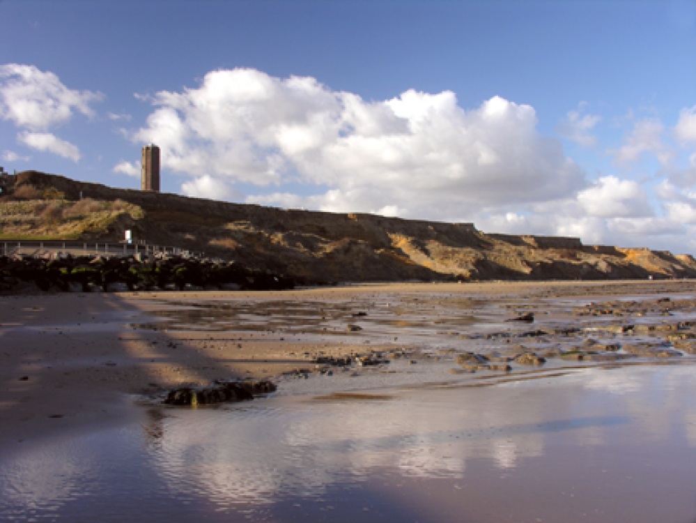 At the bottom of the Naze Cliffs, Walton on the Naze, Essex.