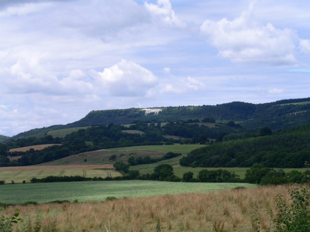 The White Horse, carved onto the hillside above Kilburn, North Yorkshire