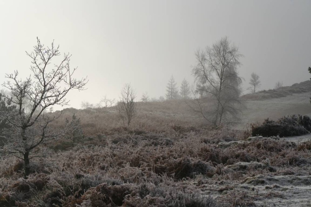 Photograph of The Wrekin in Telford in the frost