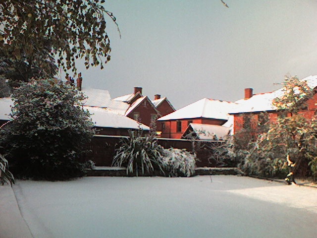 Snowy days in the yard of Wellington School