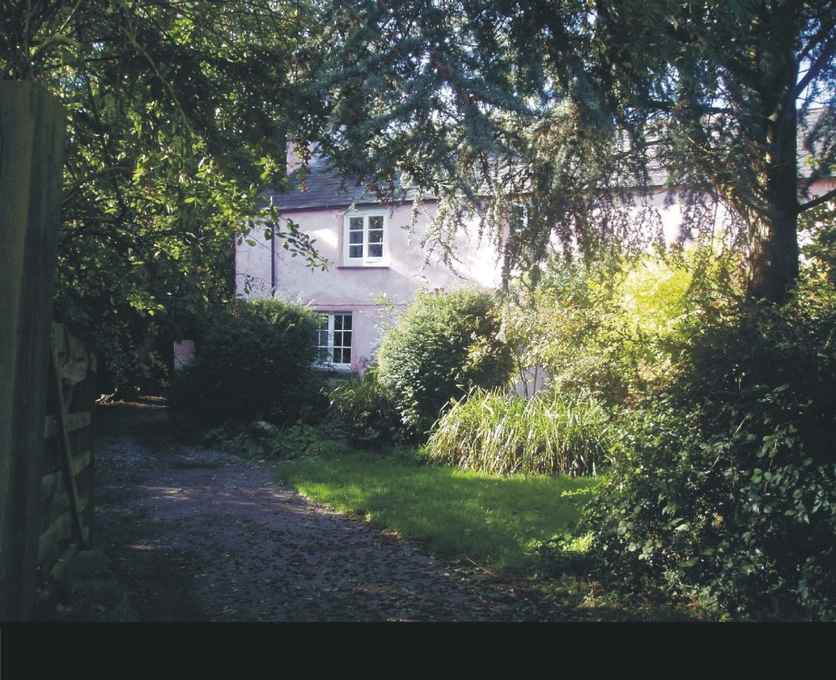 Photograph of 17th Century Pink Cottage in Lifton, Devon.