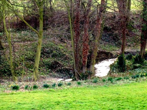 Maltby Beck, (near Rotherham ) South Yorkshire, winding its way to Roche Abbey and beyond.