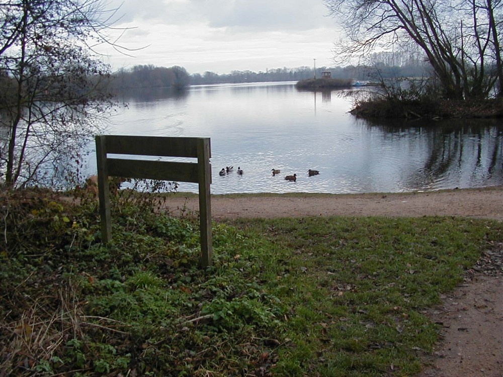 View across lake, Kingsbury Water Park, Kingsbury, Warwickshire