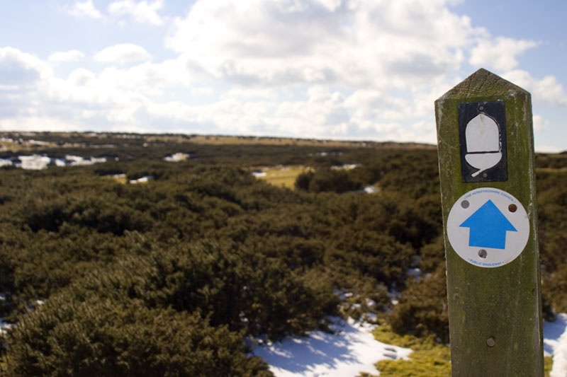 Offas Dyke footpath on Hergest Ridge, Kington, Herefordshire.