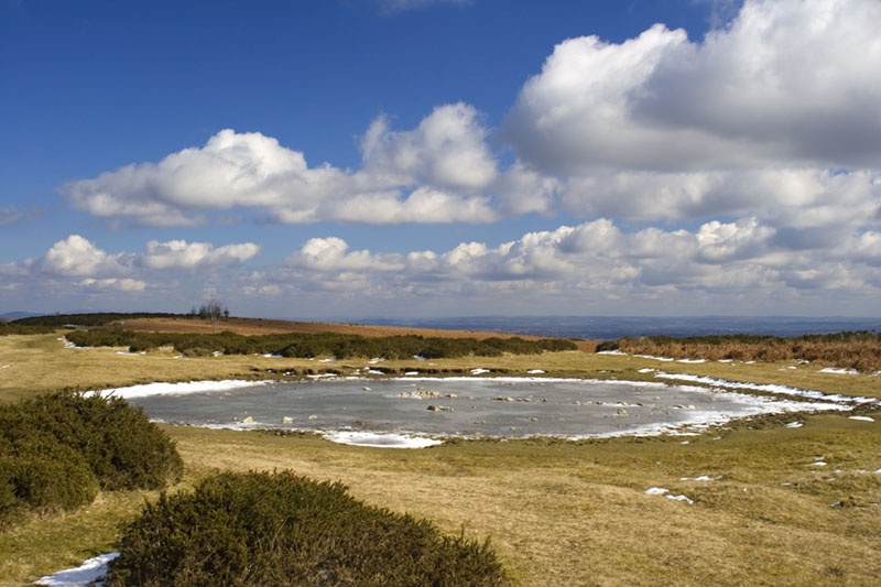 On top of Hergest Ridge, March 2006, Kington, Herefordshire.