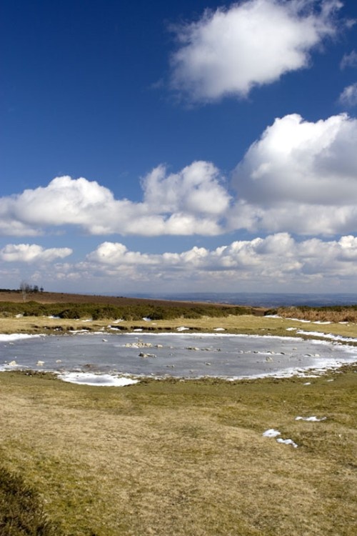 On top of Hergest Ridge, March 2006, Kington, Herefordshire.