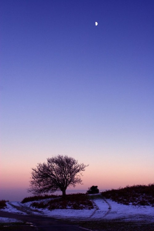 Winter sunset, Kington Golf Course, Bradnor Hill, Kington, Herefordshire.
