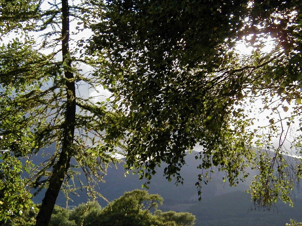 Photograph of From Castlerigg Farm Campsite, looking towards Cat Bells. Lake District