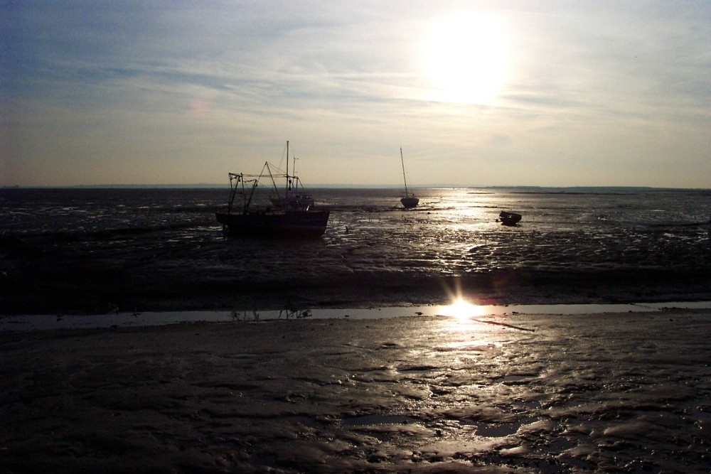Photograph of Leigh-on-Sea, Essex. Fishing is still important at Old Leigh.