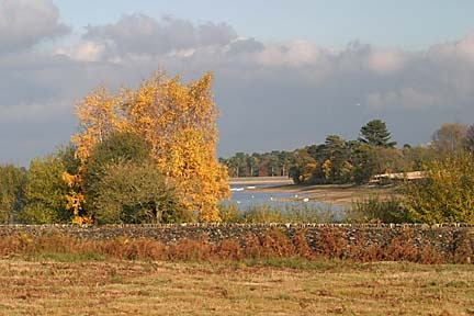 Bradgate Park in Leicestershire
