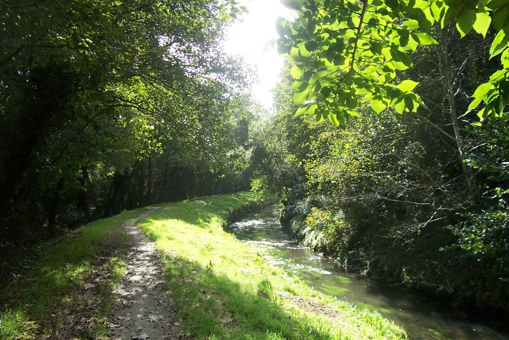 Pentewan Valley, Cornwall