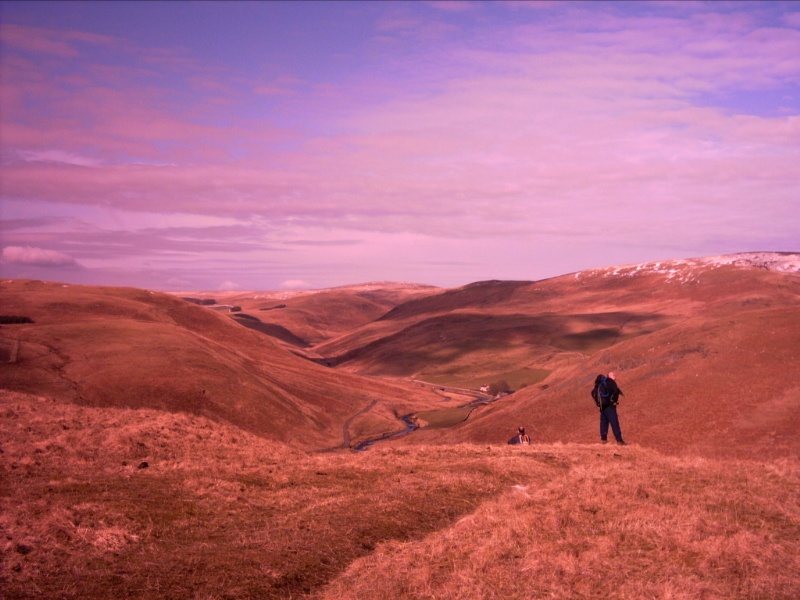 Winters day in the Cheviot hills, Northumberland