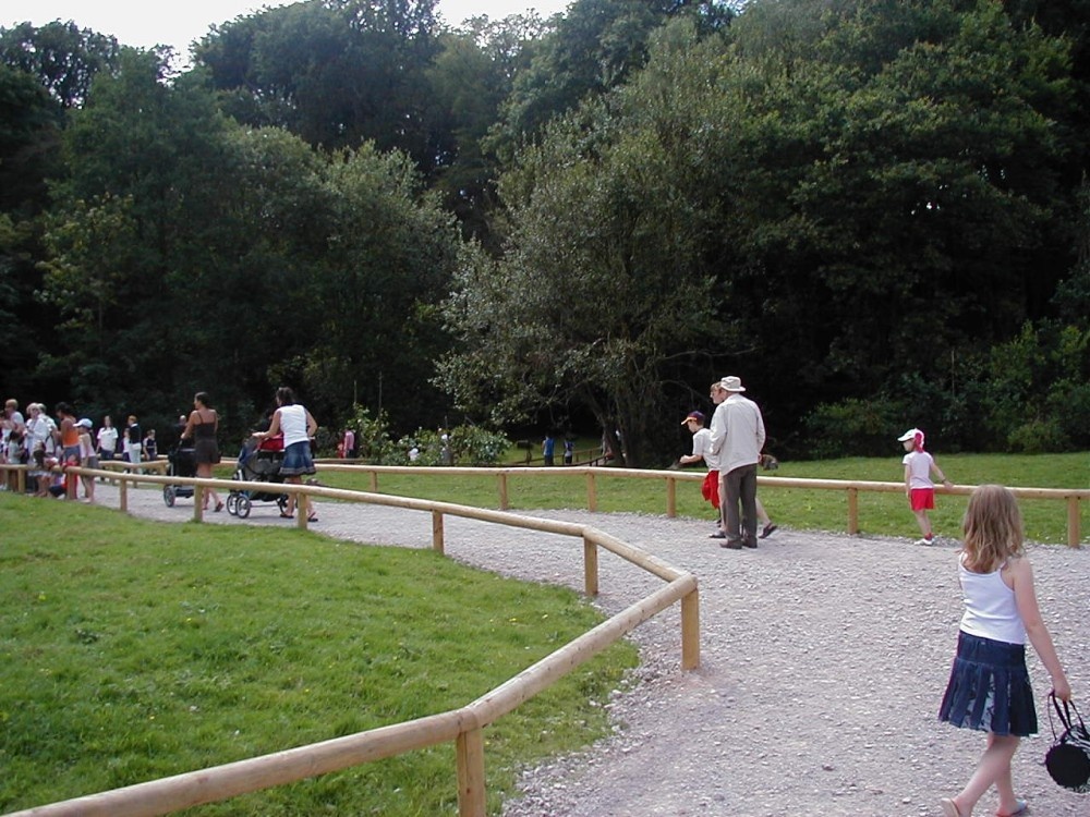 Monkey Forest, Trentham, near Stoke on Trent, Staffordshire