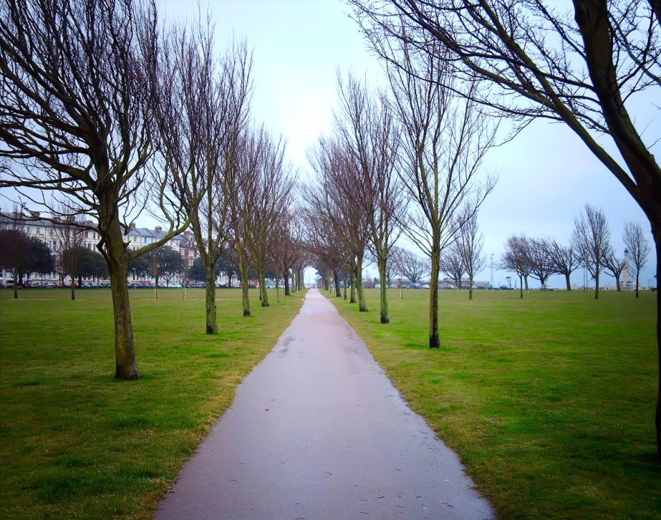 Path across the green at Southsea Terrace.

Taken:  26th March 2006