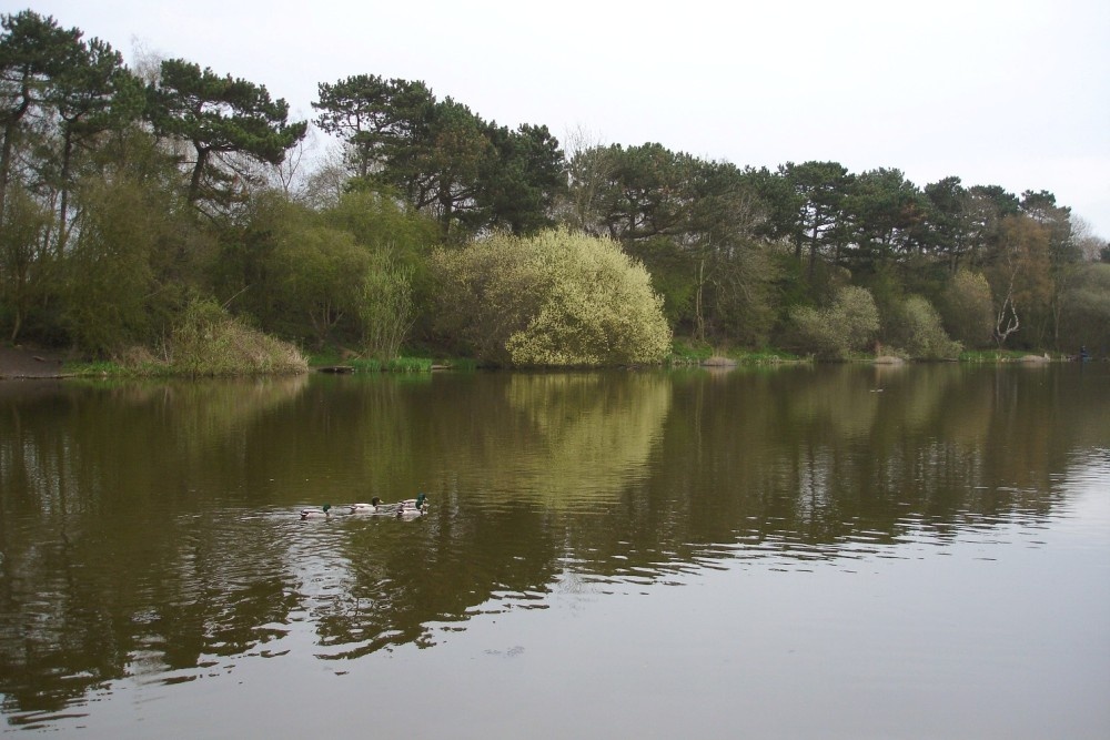 Osbourne's Pond in Spring, Shipley Country Park, Derbyshire photo by Grant Shaw