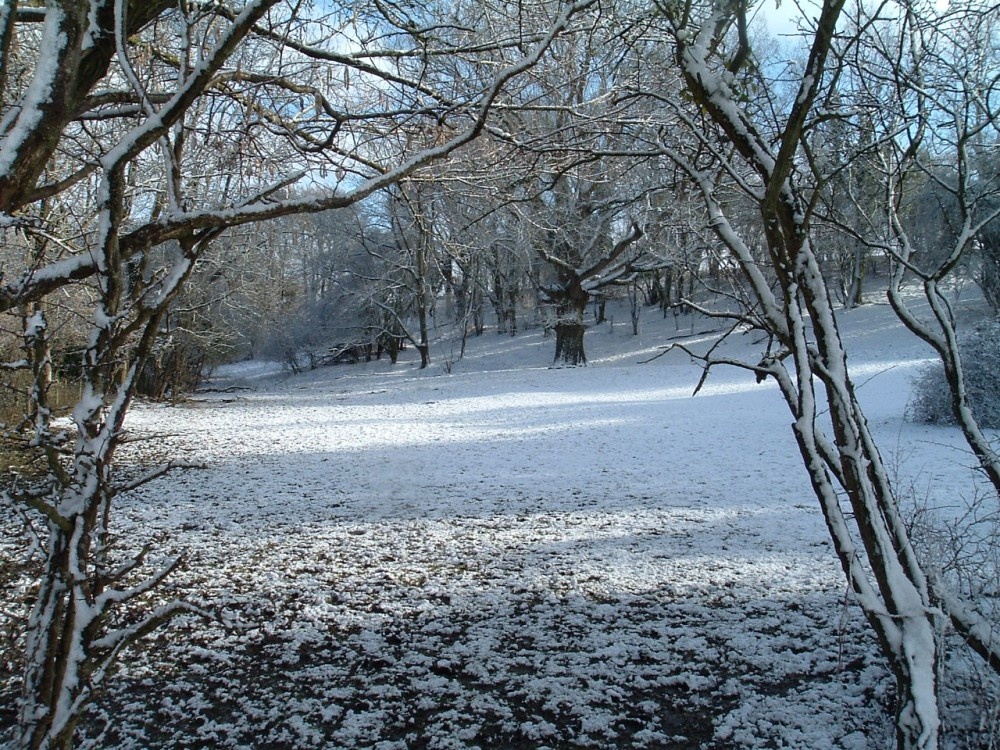 Smallbrook Snow: Warminster