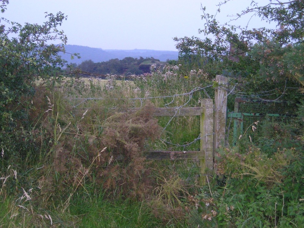 Fence to at the top of Helsby Hill.