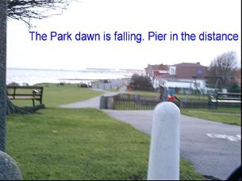 A View from near 'The Naze' with the pier in the distance