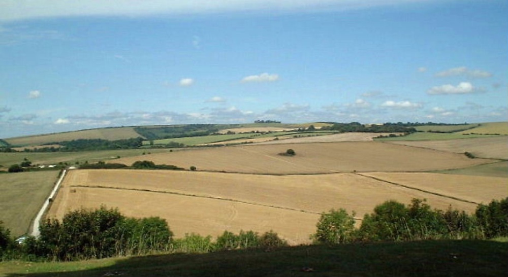 Cissbury Ring, West Sussex, looking north