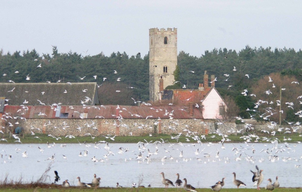 Ampton Water, Great Livermere, Suffolk
