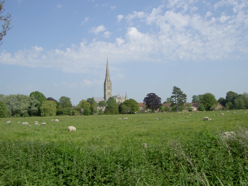 Picture of Salisbury Cathedral taken from the 